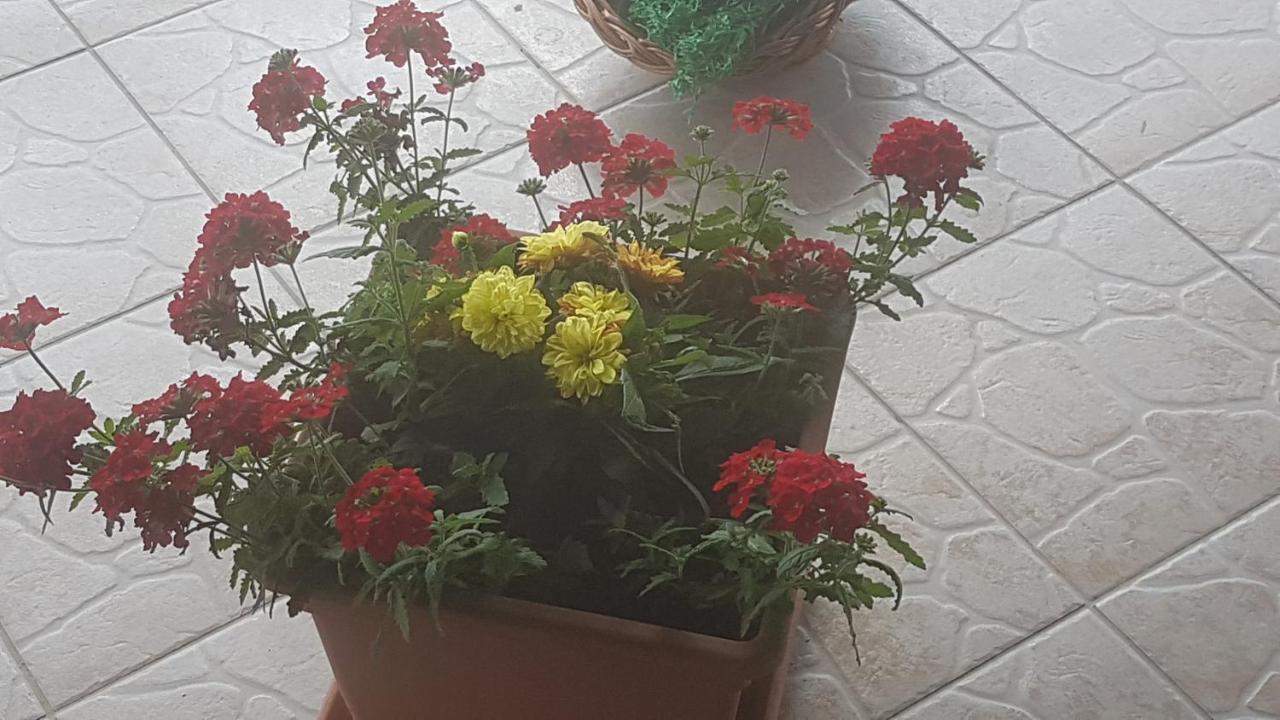 Apartmani Ksenija Krapinske Toplice Zewnętrze zdjęcie