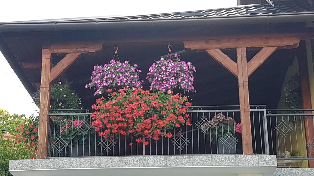 Apartmani Ksenija Krapinske Toplice Zewnętrze zdjęcie