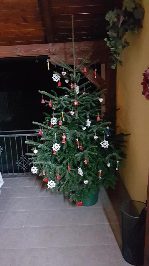 Apartmani Ksenija Krapinske Toplice Zewnętrze zdjęcie